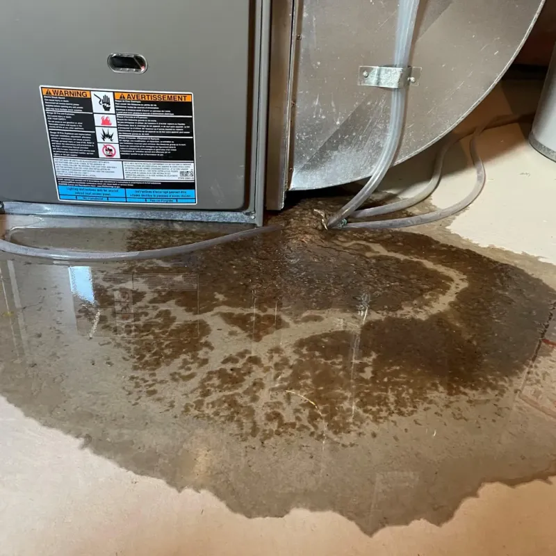 Appliance Leak Cleanup in Cherokee, OK